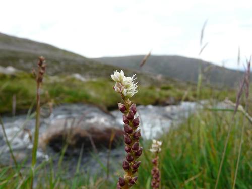 (c) Alastair Rae, some rights reserved (CC BY-SA)