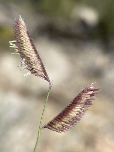 (c) Matt Berger, some rights reserved (CC BY), uploaded by Matt Berger