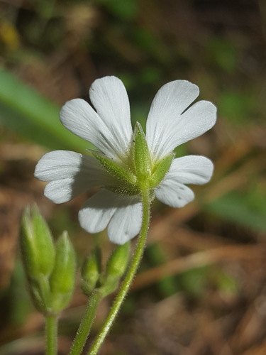 (c) Alex Abair, some rights reserved (CC BY), uploaded by Alex Abair