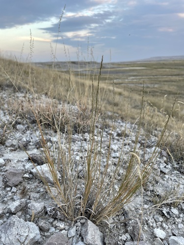 (c) Matt Berger, some rights reserved (CC BY), uploaded by Matt Berger