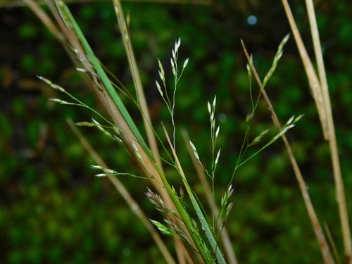 (c) Michael J. Papay, some rights reserved (CC BY), uploaded by Michael J. Papay