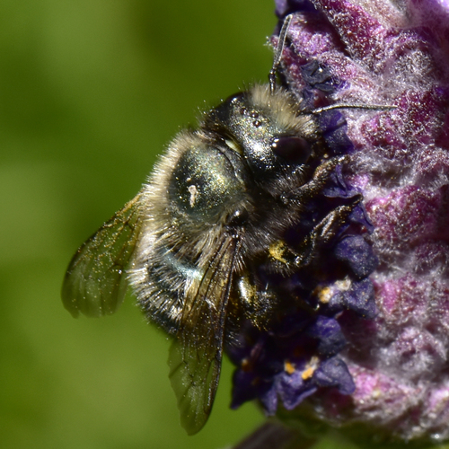(c) Harley Hosford, some rights reserved (CC BY), uploaded by Harley Hosford
