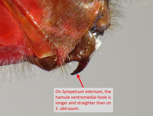 (c) Nick Block, some rights reserved (CC BY), uploaded by Nick Block